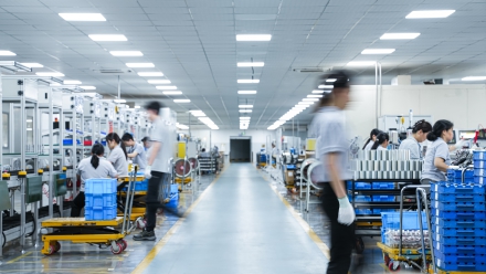 Innuovo releases first sustainability report 2024