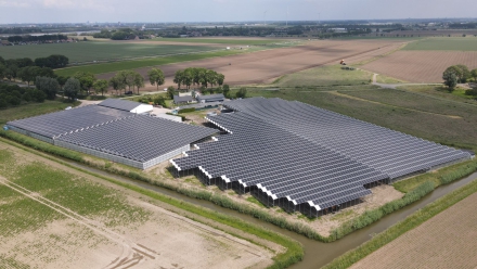 DMEGC H1 profit surges on photovoltaics amid market volatility