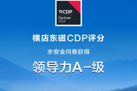 DMEGC earns top recognition for water security by CDP