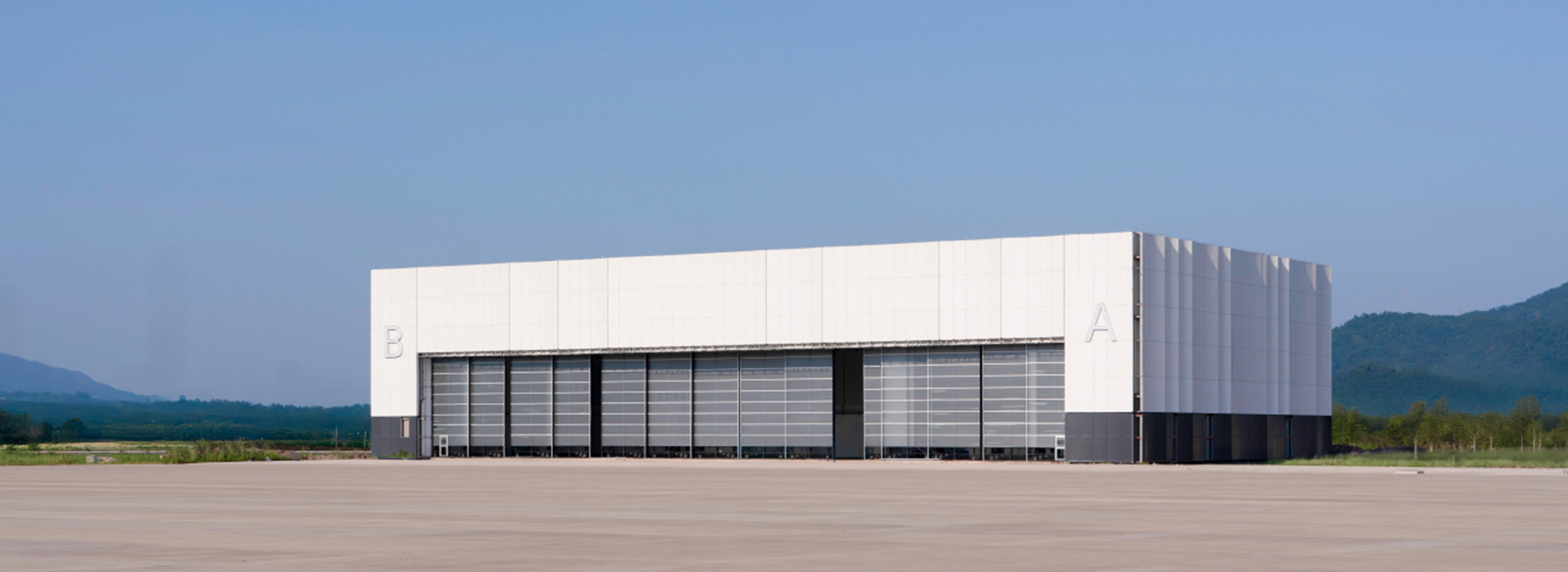 Aviation Services