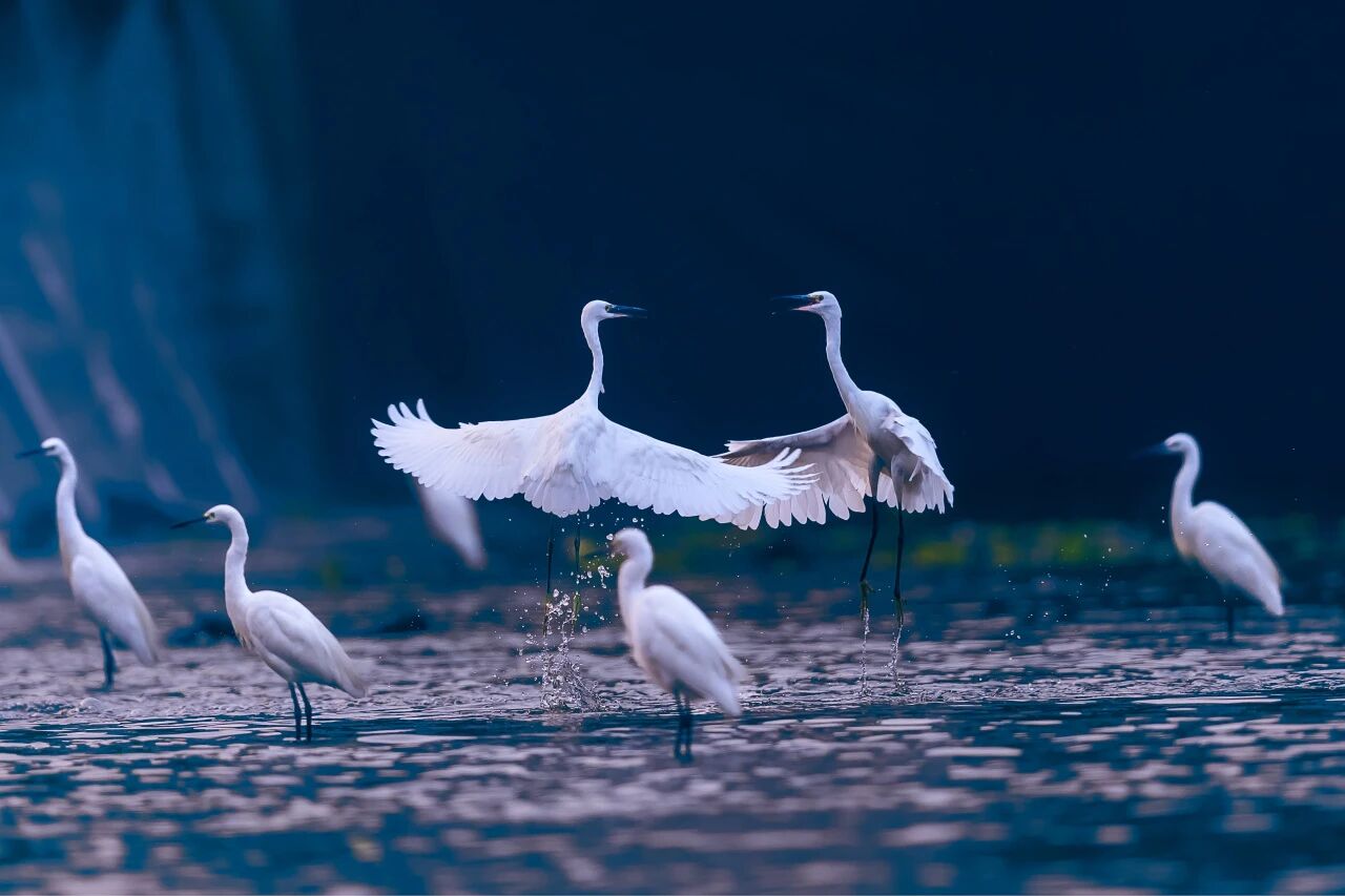 微信圖片_2025-11-13_094101_659.jpg (107 KB)